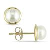 Miadora 6-6.5 mm Freshwater White Pearl Earrings in 10 K Yellow Gold