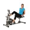 EXERPEUTIC 1000 XLS High Capacity Magnetic Recumbent Bike with Pulse