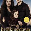 Breaking Dawn