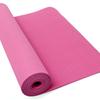 PurEarth Ekko 6mm Yoga Mat - WTE10443PK