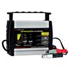 6/4/2 Amp Battery Charger