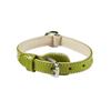 Green Leather Collar