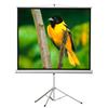 EluneVision Portable Tripod Projector Screen - 84" - 4:3