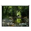 EluneVision Triton Manual Pull-Down Projector Screen - 96" x 96"