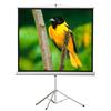 EluneVision Portable Tripod Projector Screen - 84" x 84" Viewable
