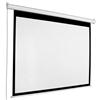 AccuScreen Electric Projection Screen - 7 feet