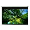 EluneVision Triton Manual Pull-Down Projector Screen - 120" - 16:9