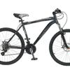 Raleigh Mojave 5.0 18" Frame