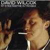 David Wilcox - My Eyes Keep Me In Trouble