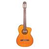 Takamine Classic Acoustic Guitar (EG128SC) - Natural