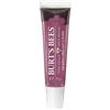 Burt's Bees Lip Shine (02055-04) - Pink Flutter