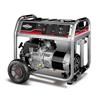 Briggs & Stratton™ 5000 Watt Generator