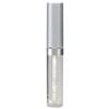 CoverGirl WetSlicks Lip Gloss - Clear Radiance 360