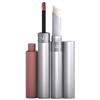 CoverGirl Outlast All Day Lip Colour Wand Kit - Lingering Spice 619