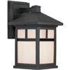 Filament Design Burton 1 Light Black Outdoor Incandescent Wall Light