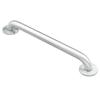 MOEN Home Care 1-1/4 Inch Concealed Screw 24 Inch Securemount Grab Bar In Stainless Steel