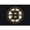 NHL 3 Ft. 10 In. x 5 Ft. 4 In. Boston Bruins Spirit Rug