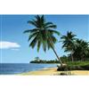 Komar 12 Feet 9 Inches x 8 Feet 10 Inches African Beach Wall Mural