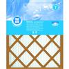 True Blue Basic Pleated Filter 16 in. x 20 in. x 1 in.