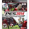 Pro Evolution 2014 (PlayStation 3)