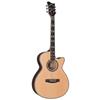 LTD 10E Acoustic Guitar (AC-10E) - Natural