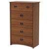 South Shore Tryon Collection 5-Drawer Chest (3791035) - Roasted Oak