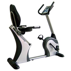 recumbent exercise bike costco
