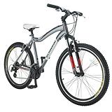 schwinn conversion mountain bike